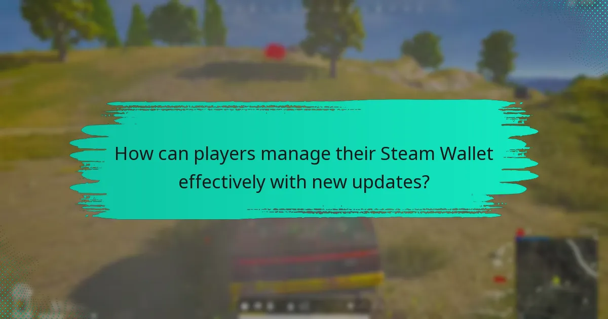 How can players manage their Steam Wallet effectively with new updates?